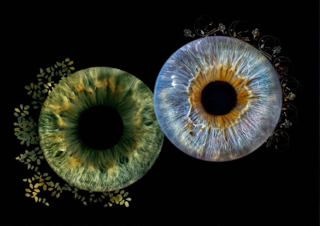 Iris 7